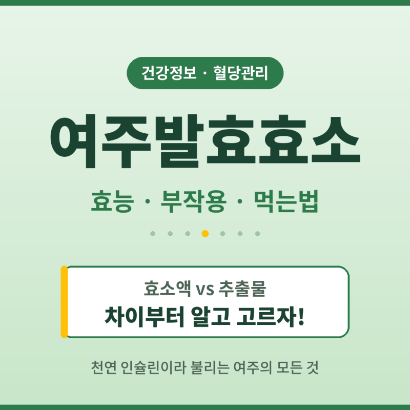 여주발효효소 효능 부작용 먹는법, 효소액 vs 추출물 차이까지 정리해요!
