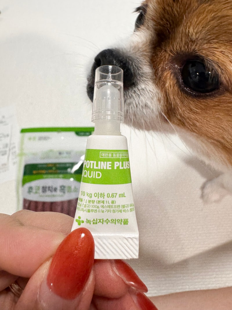 강아지 외부구충제 프론트라인 플러스 가격 살인진드기 예방 필수템
