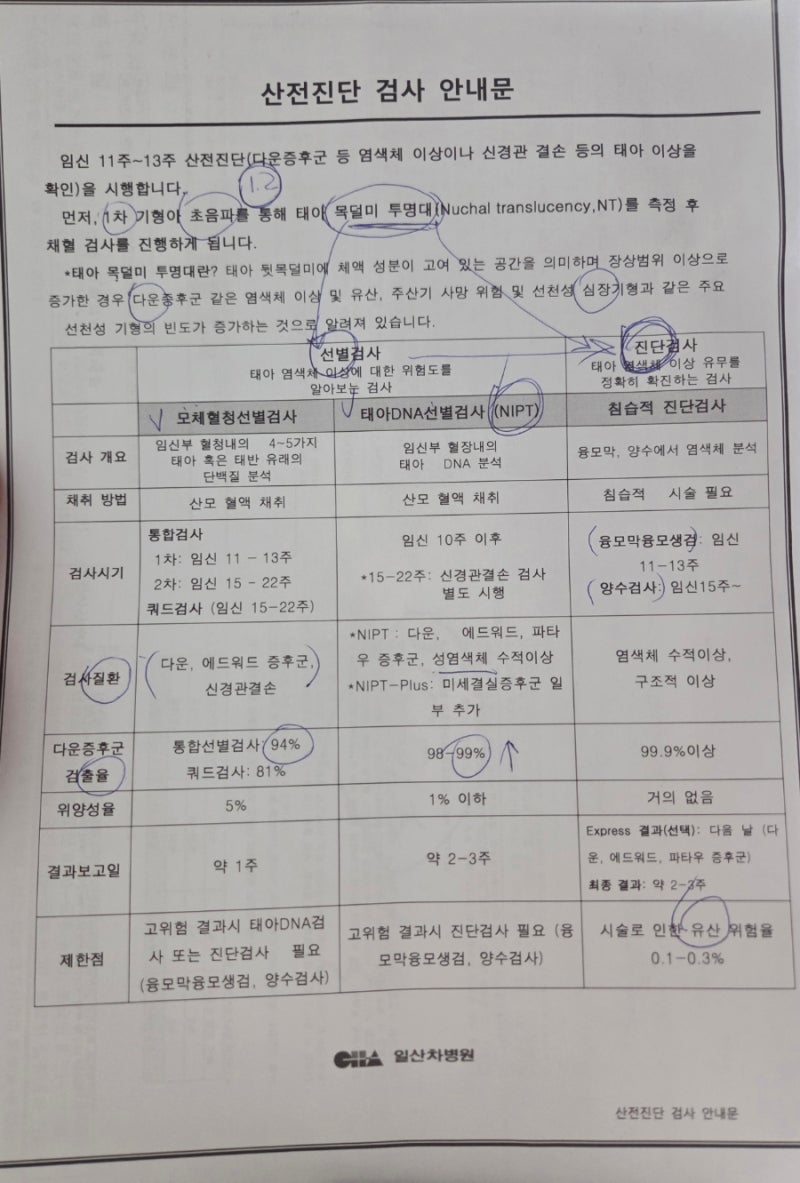 [임신 12주차] 일산병원 쌍둥이 니프티(NIFTY) 저렴 후기! Y염색체 검출 및 1차 기형아 통과