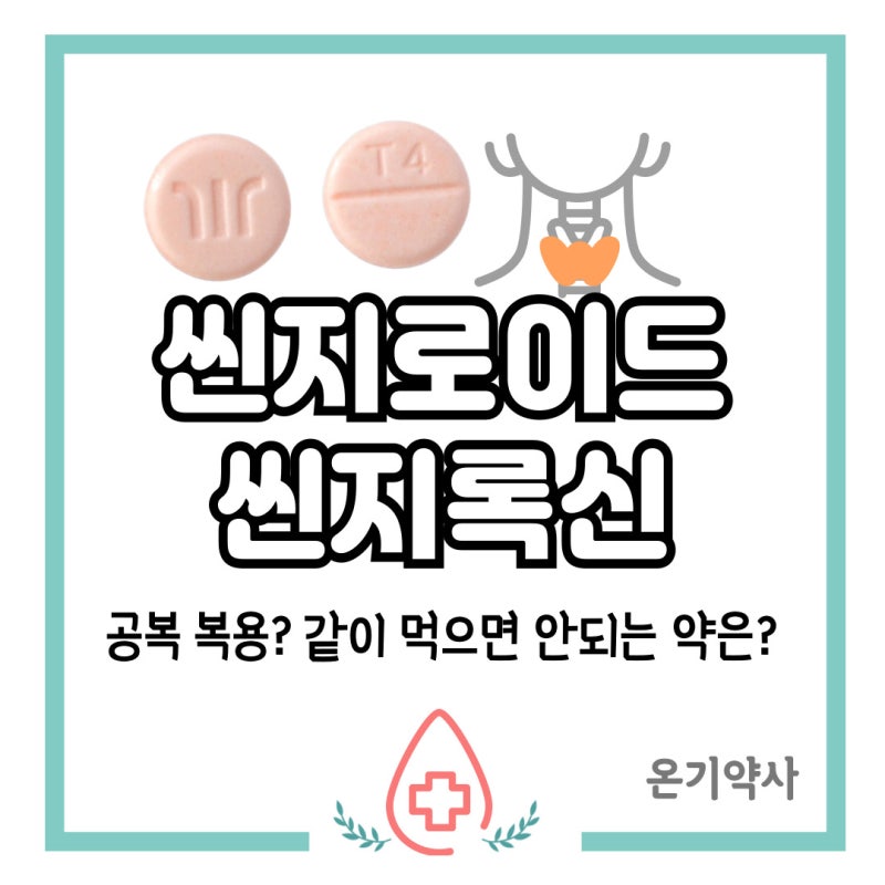 [씬지로이드 씬지록신정] 공복 복용? 같이 먹으면 안되는 약은?