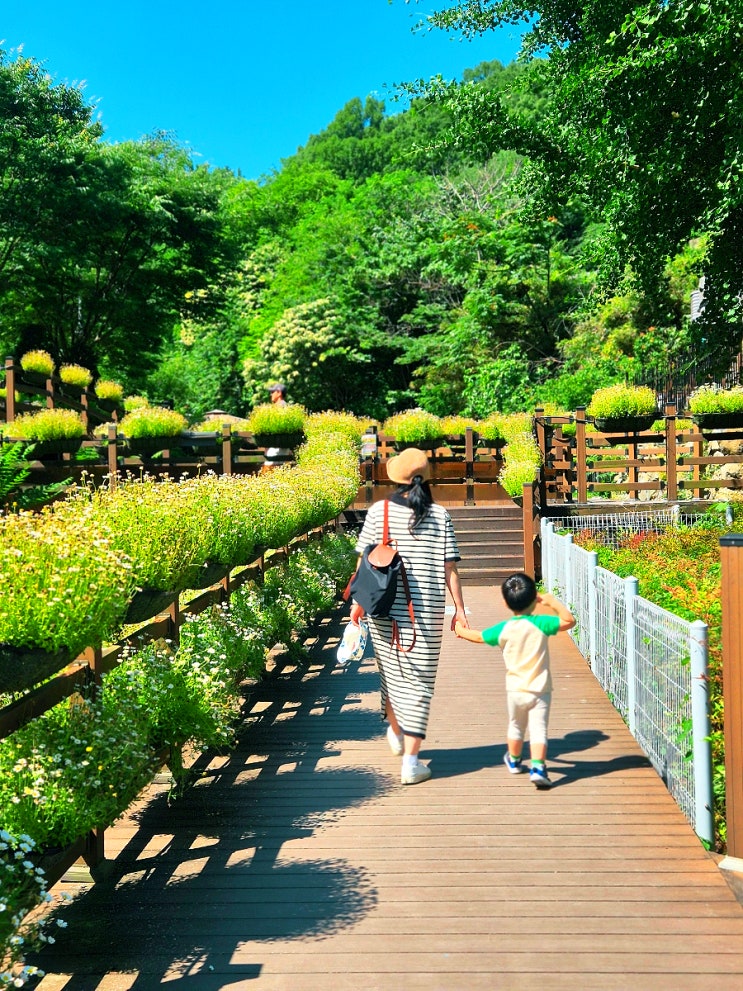  대구 주말 가족나들이 강아지 산책 아이와 가볼만한 곳, 고산골 공룡공원