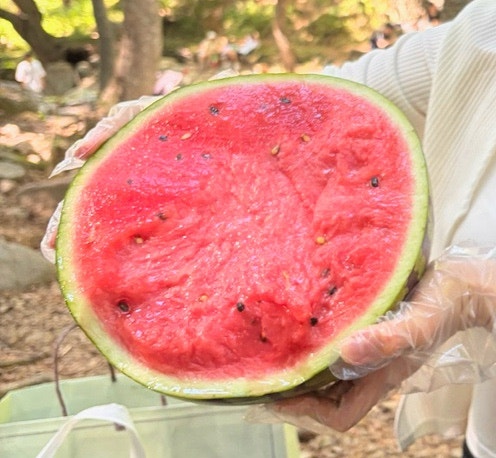 치유커피 사진 6