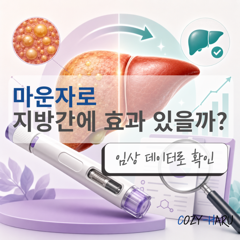 마운자로, 지방간에도 도움이 될까? 임상 데이터로 정리