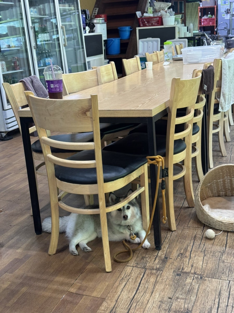 김삿갓 사진 5