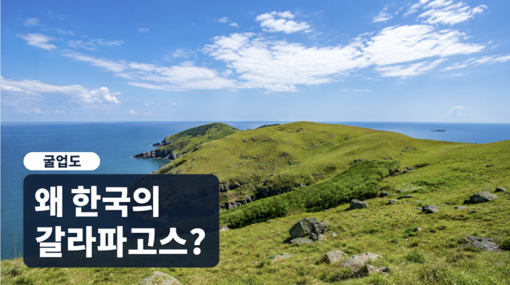  굴업도 왜 한국의 갈라파고스일까? 코끼리바위와 사슴길