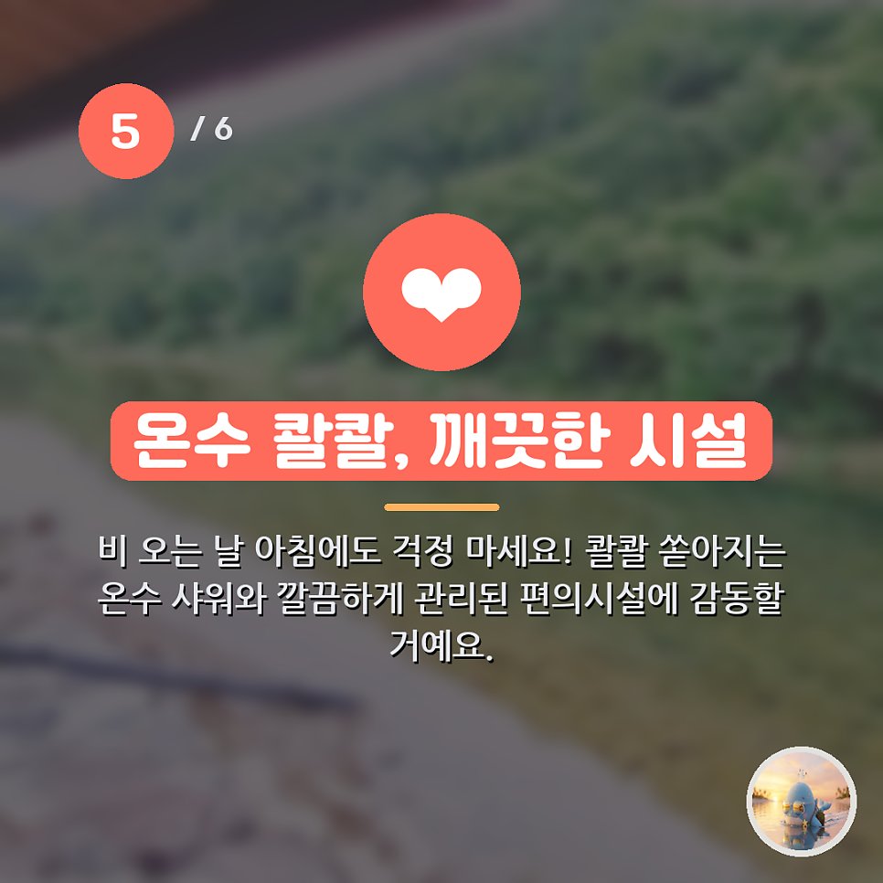 솔뫼캠핑장 사진 6