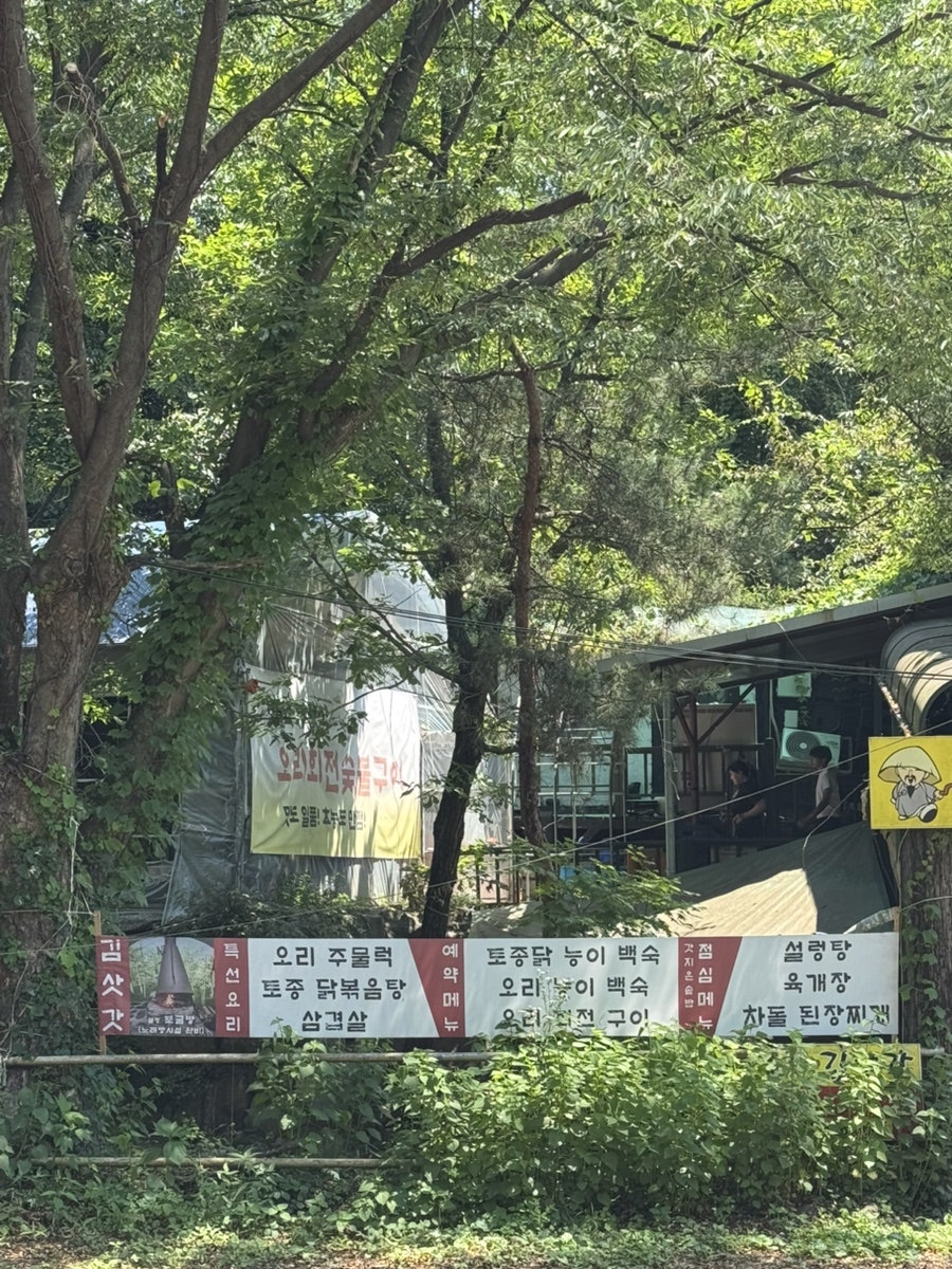 김삿갓 사진 2