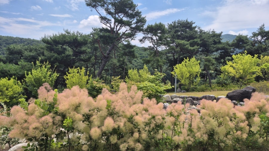 우렁골목쌈밥 사진 2