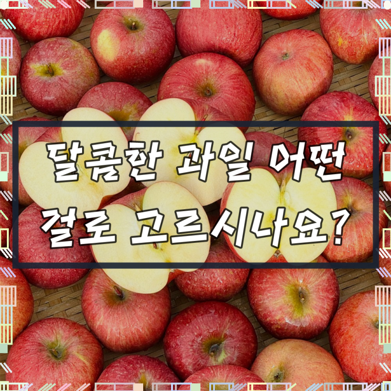 한입과득 청송사과 못난이 가정용 당일수확, 1박스, 사과 3kg (중소과)