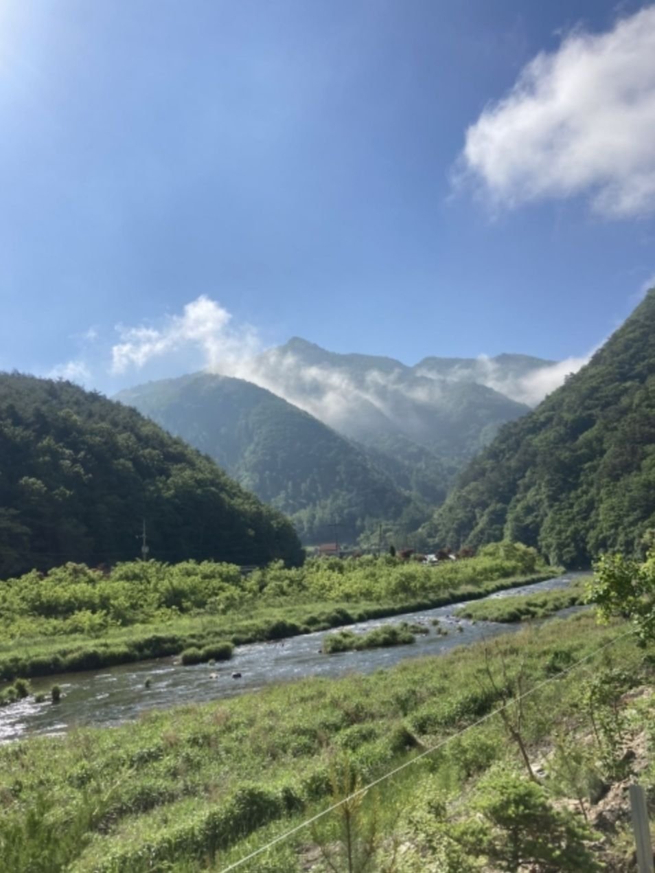 파인트리캠핑장 사진 5