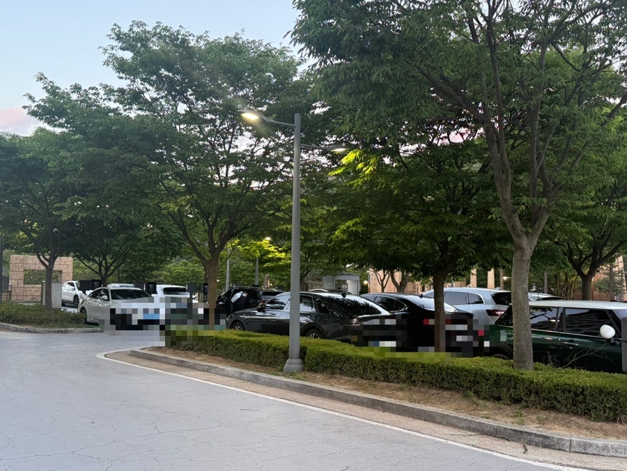 싱글베이커리 사진 6