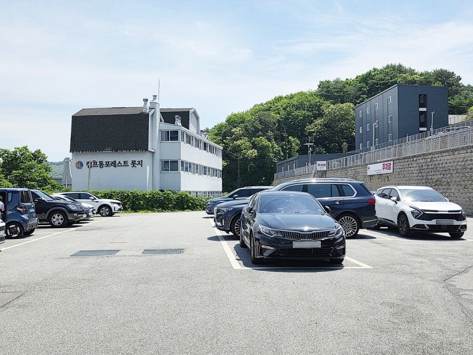 우동한그릇 사진 2