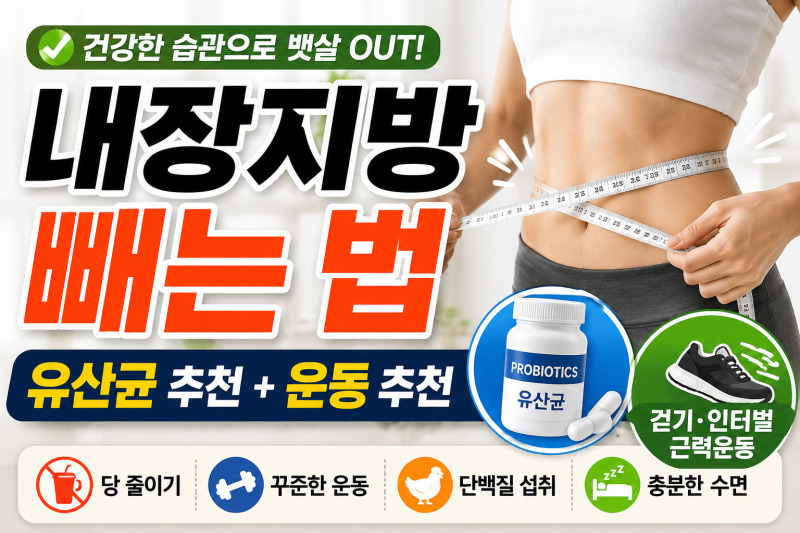 내장지방 뺴는법 유산균추천 운동추천 총정