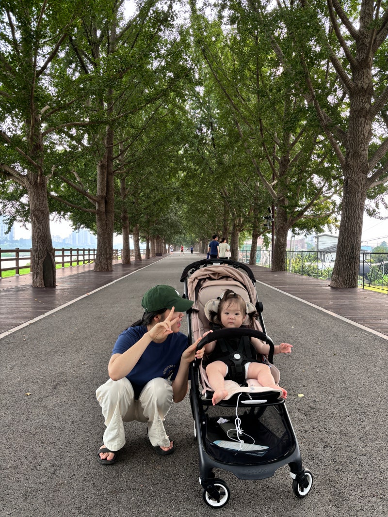 부가부 버터플라이 휴대용 유모차 2년 실사용 후기 (줄즈 에어플러스와 비교, 2세대 비교까지....