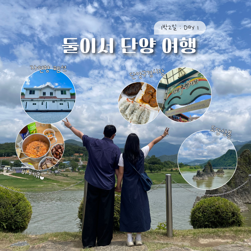 자연향펜션 사진