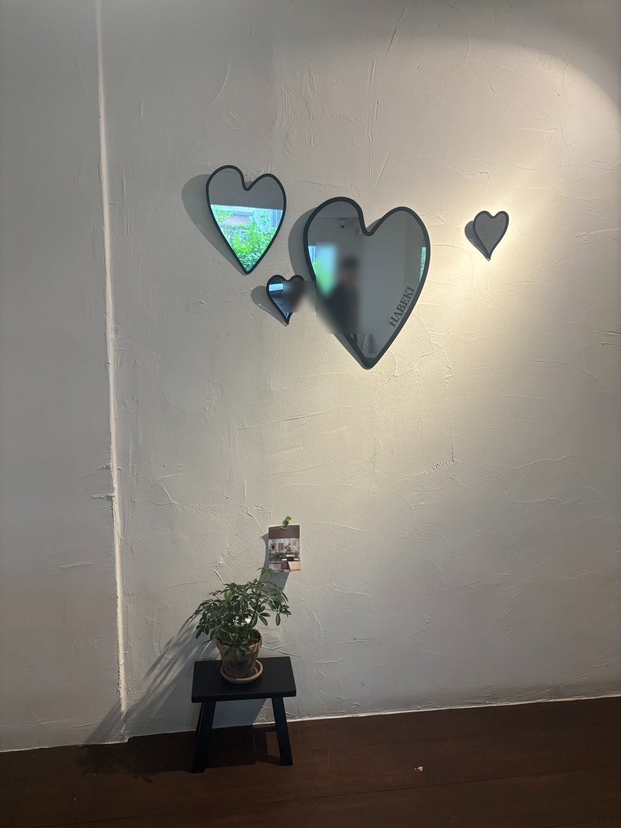 하베키 사진 6