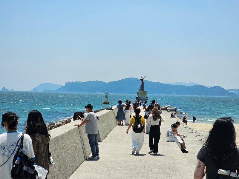 [해랑] 부산 도심 속 특별한 공간, 미포항