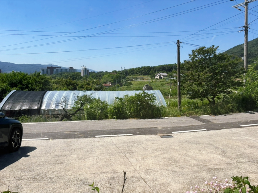 청미래 사진 3