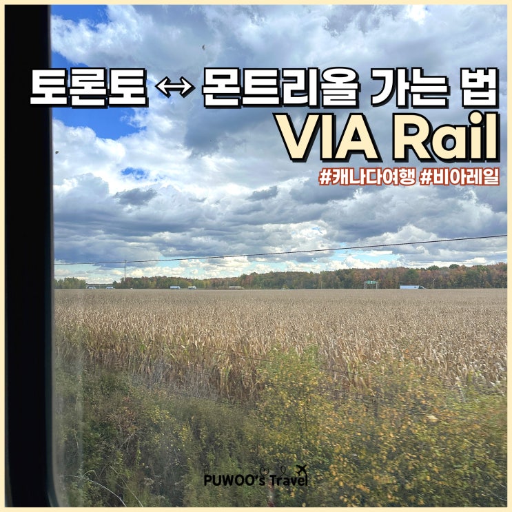  토론토↔️몬트리올 가는 법 VIA Rail 비아레일 예약 방법 및 후기