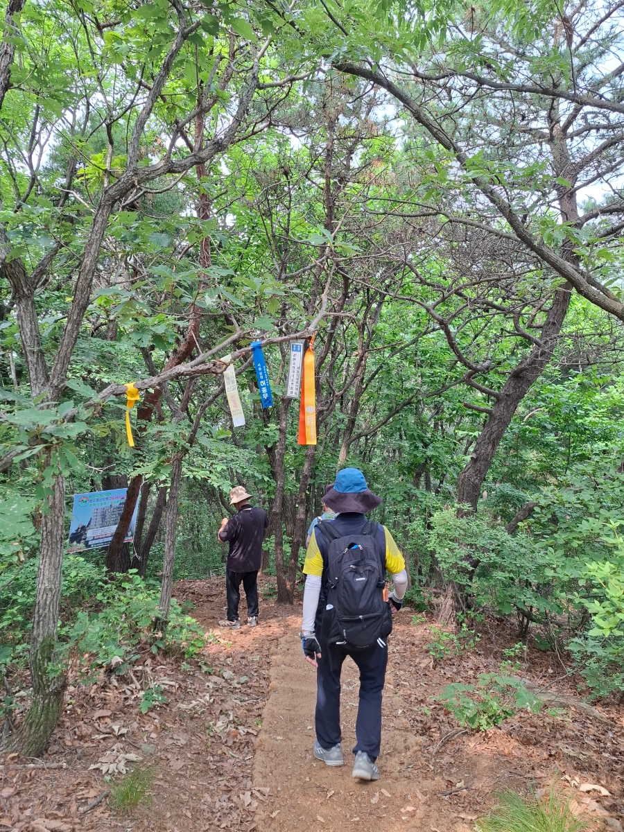 학운산 사진 6