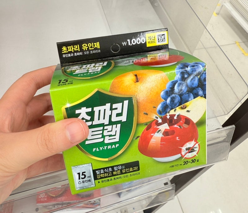 다이소 초파리트랩보다 효과본 여름 자취방 날파리 없애는 방법 공유