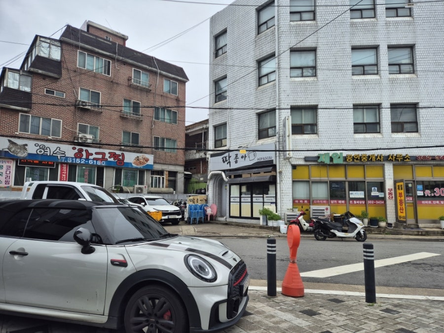 서호파이 사진 2