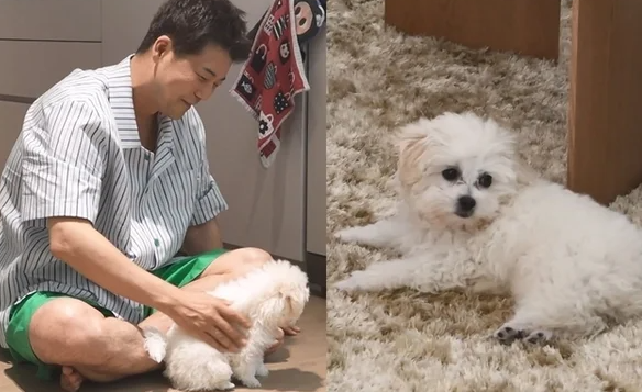 전현무 강아지 순무 입양 스토리로 본 구조견 가족 이야기