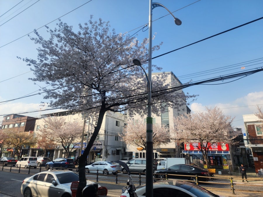 교촌치킨 중곡1호점 사진 5