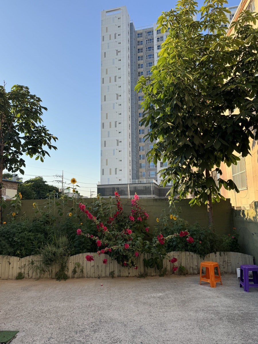 BBQ 부산덕포점 사진 5