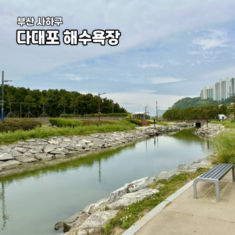 부산 다대포 해수욕장 해변공원 고우니 생태길 꿈의 낙조 분수