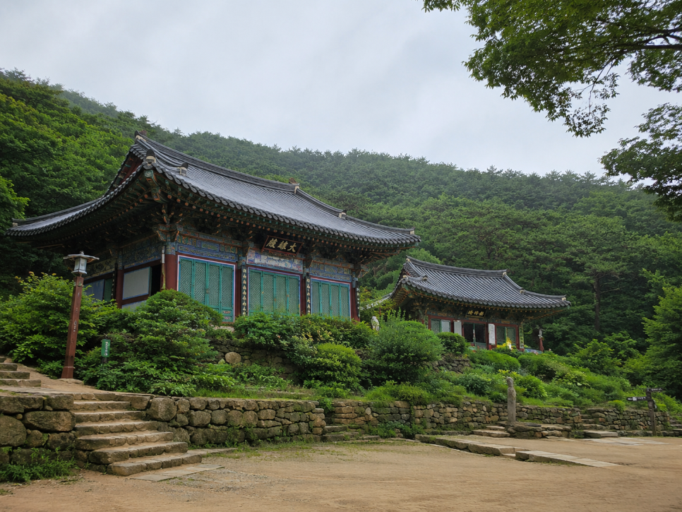 자연애 사진 1