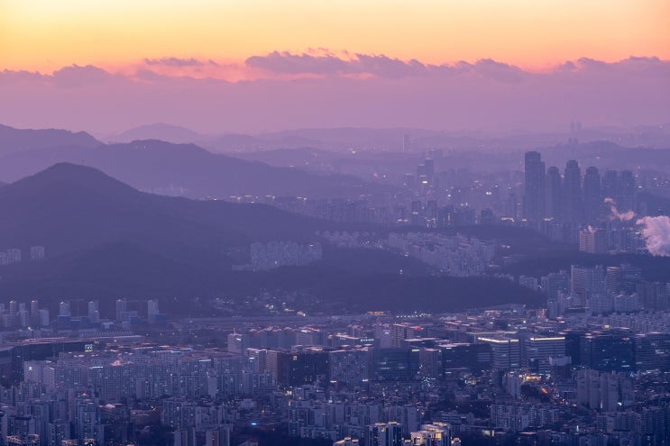  부동산도 주식처럼 가격 상승 제한을 둘 수 있을까? 1년 최대 5% 상승 제한 정책을 제안해 본다