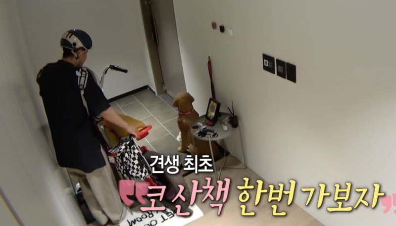 전현무 전기자전거가 단순히 이동 수단을 넘어 '개성 있는 오브제'인 이유
