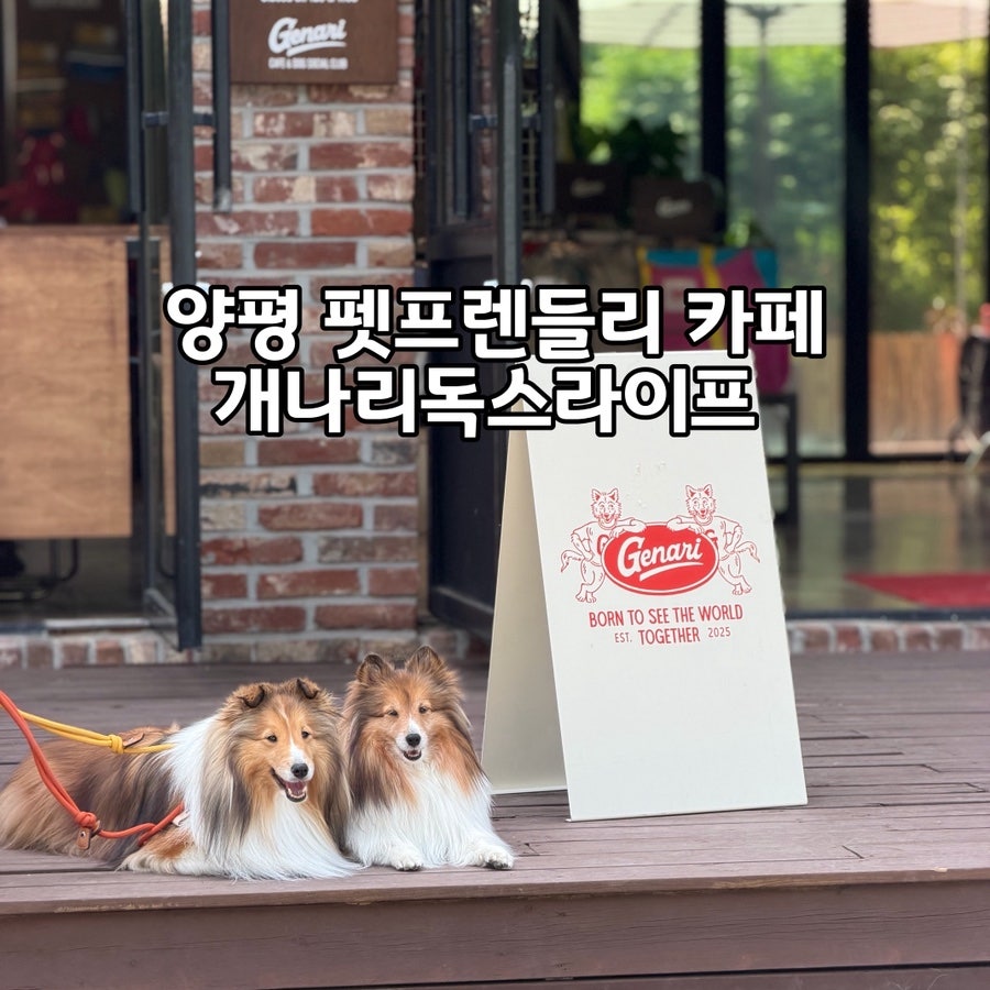 개나리독스라이프 사진 1