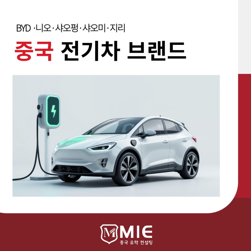 중국 전기차 브랜드 총정리! BYD·니오·샤오펑·샤오미·지리 비교