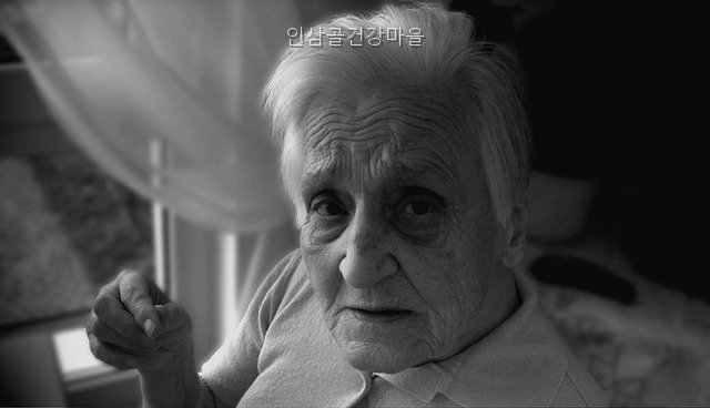 인삼골건강마을 사진 4