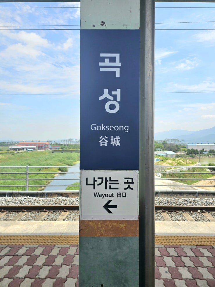 생선나라 사진 1