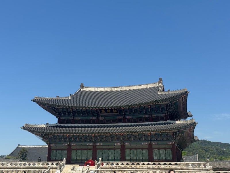 [교육] 서울 초등학생 필수코스! 경복궁, 국립민속박물관 나들이