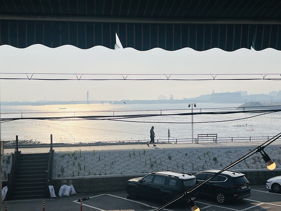 뱃고동 사진 2
