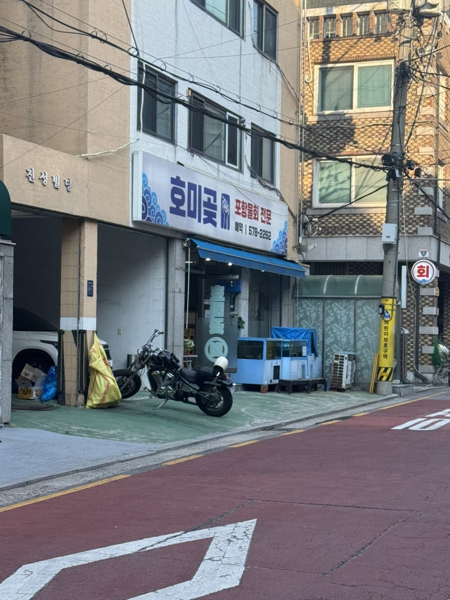 호미곶 사진 1