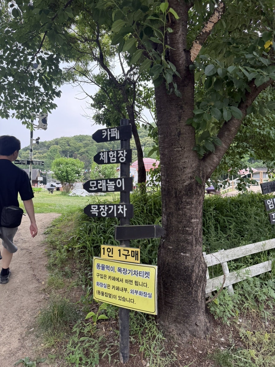목장카페 은아 사진 5