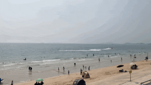 보령 대천해수욕장 후기 | 동양 유일 패각분 백사장, 무료주차장 정보까지