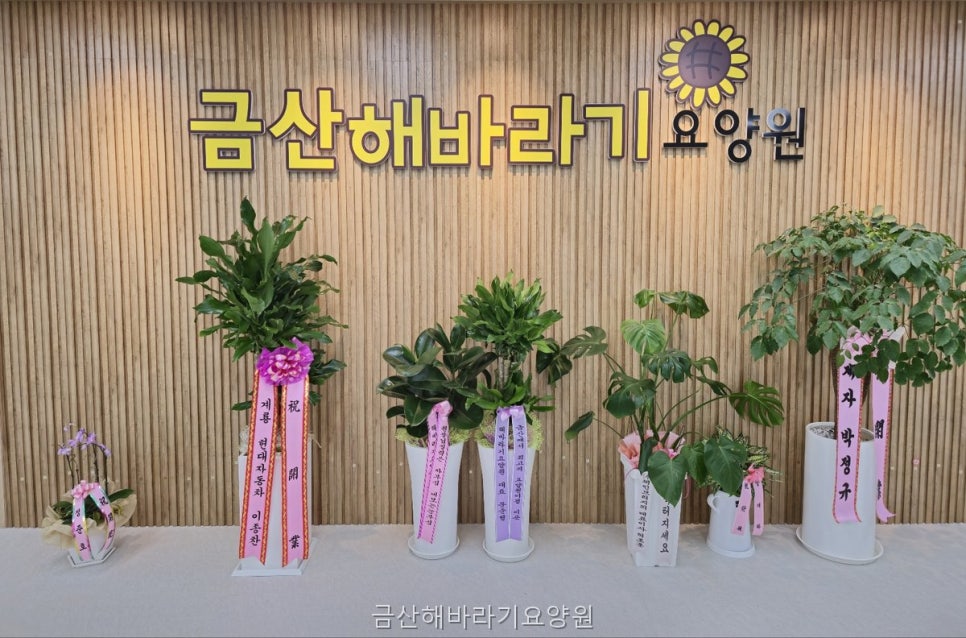 금산해바라기요양원 사진 1