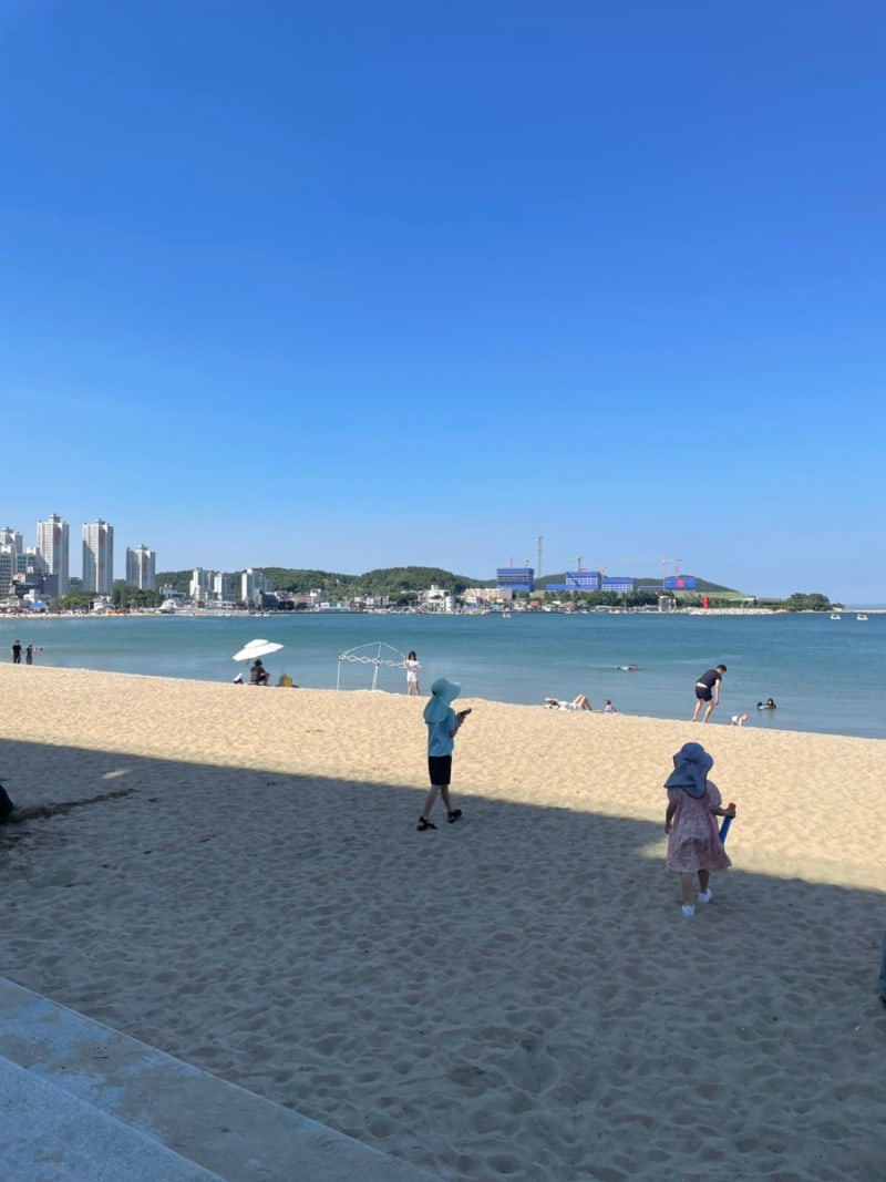 주간 일상 / 코스트코 / 텀블러 추천 / TWG티 / 켁터시에어프라이어 / 코스트코 선풍기 / 자연드....