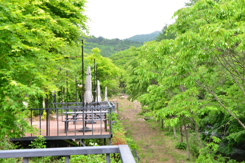 카페숲 사진 2