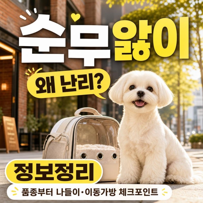 전현무 순무 왜 화제? 품종부터 성수동 나들이·이동가방 체크포인트