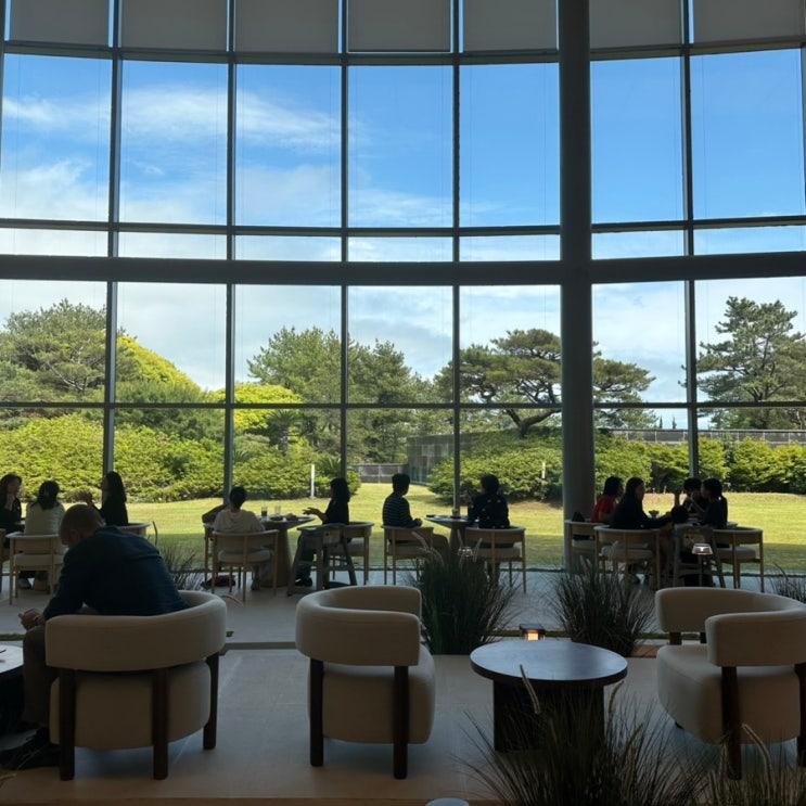  제주도여행 한라산 숲속에 위치한 웰니스 헬스 리조트 WE호텔 제주 조식 수영장 헬스장 산책로 리뷰.