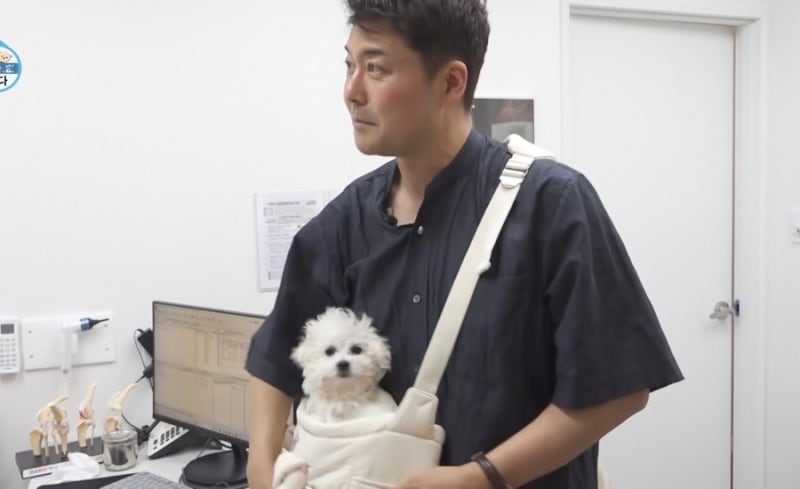 나혼자산다 전현무 강아지 순무 옷 하네스 거북이 장난감 가방 성수동 애견용품샵 바잇미 정....