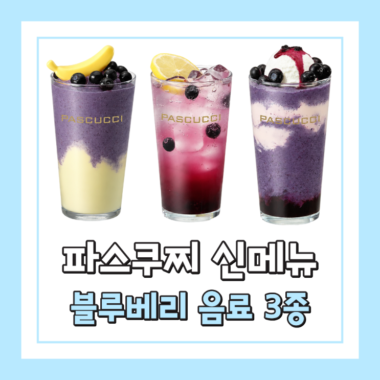  파스쿠찌 블루베리 신메뉴 3종 가격 칼로리 당류까지 정리