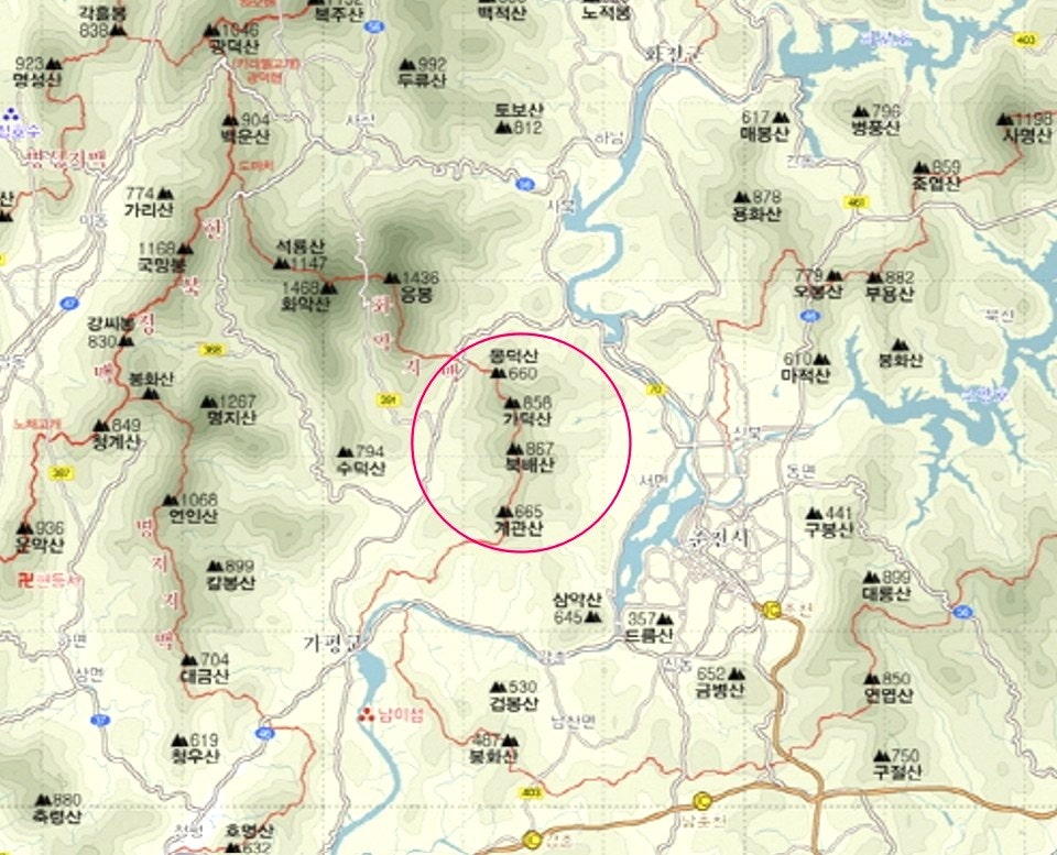 주작 사진 4
